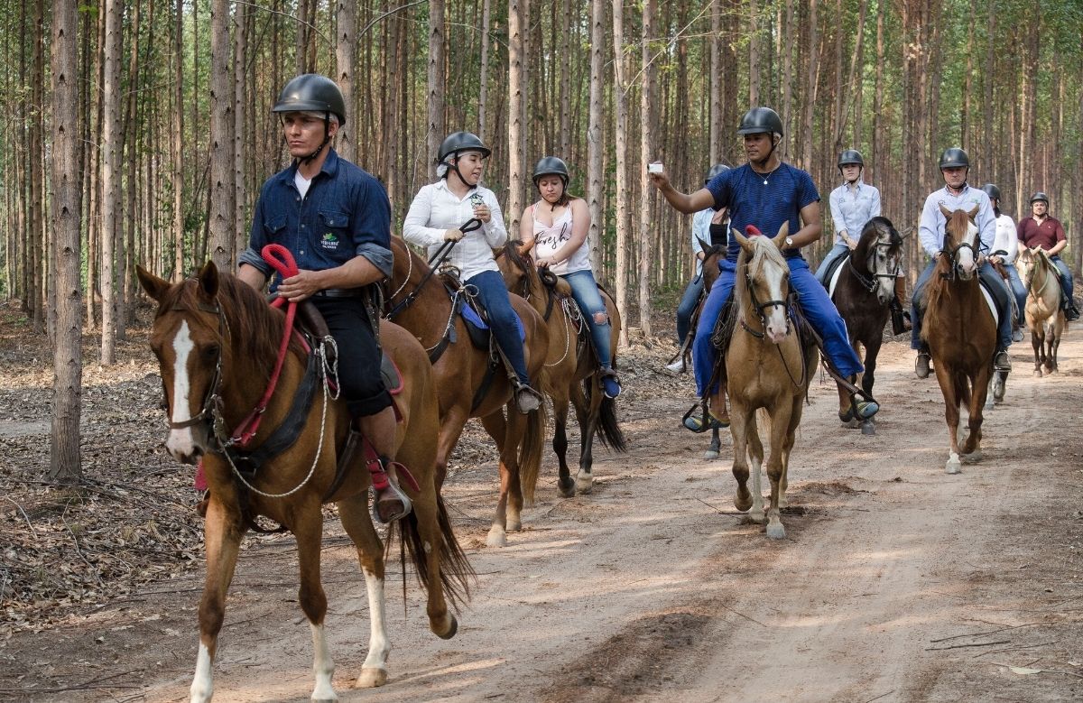 Servicio de Cabalgastas ecologias el morichal Monterrey Cansanare