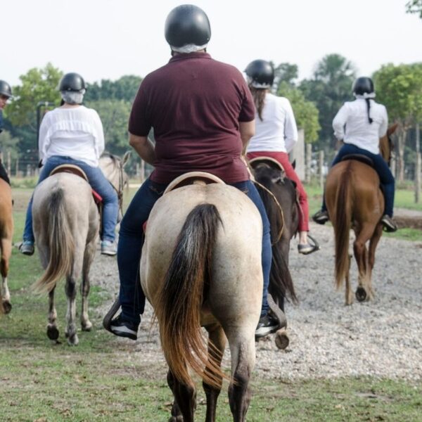 Cabalgatas Ecológicas