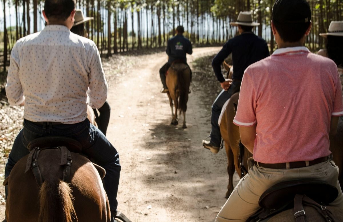 Servicio de Cabalgastas ecologias el morichal Monterrey Cansanare