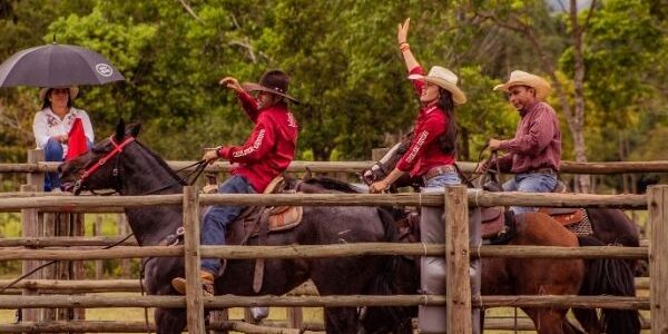 Conoce el Deporte Team Penning, Aparte y Encierro