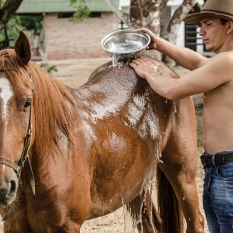 Trabajo De llano Monterrey Casanare