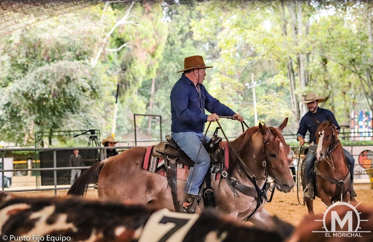 Team penning ARDEQ BACATA 2019 Bogota Colombia