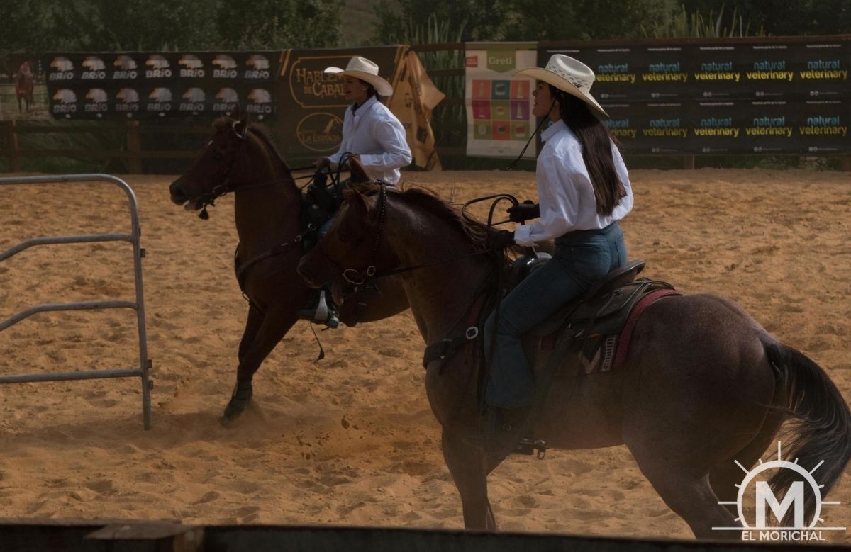 Team Penning Bogota Colombia 2019