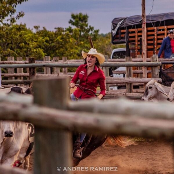 Team Penning – Monterrey – Casanare -Colombia