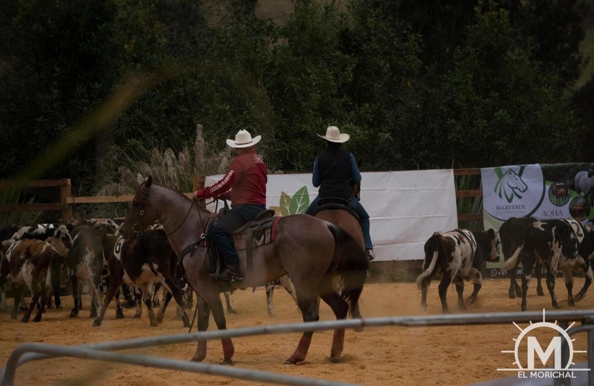 Team Penning Bogota Colombia 2019