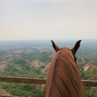 Cabalgata El mirador Casanare Monterry