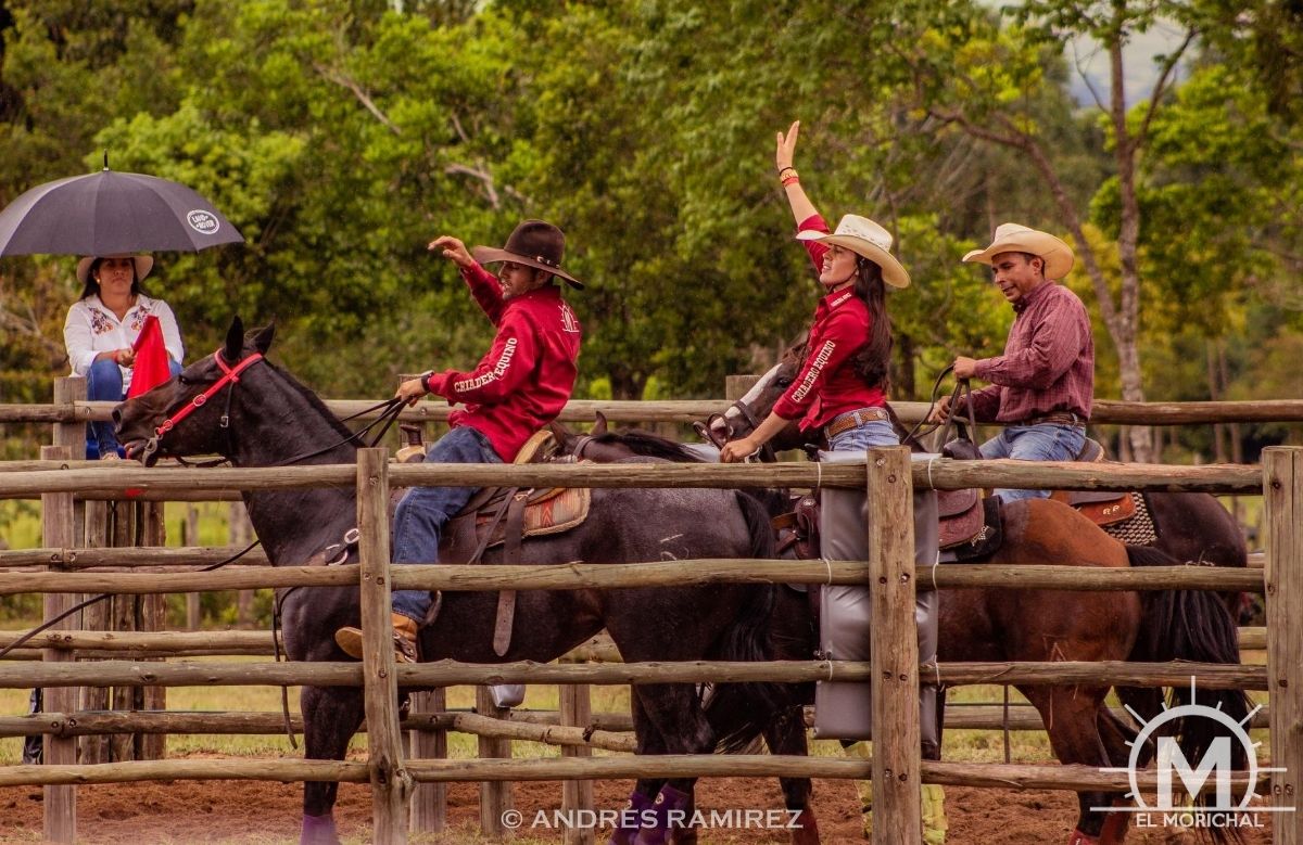 Encierro de gando team penning Monterrey Casanare colombia