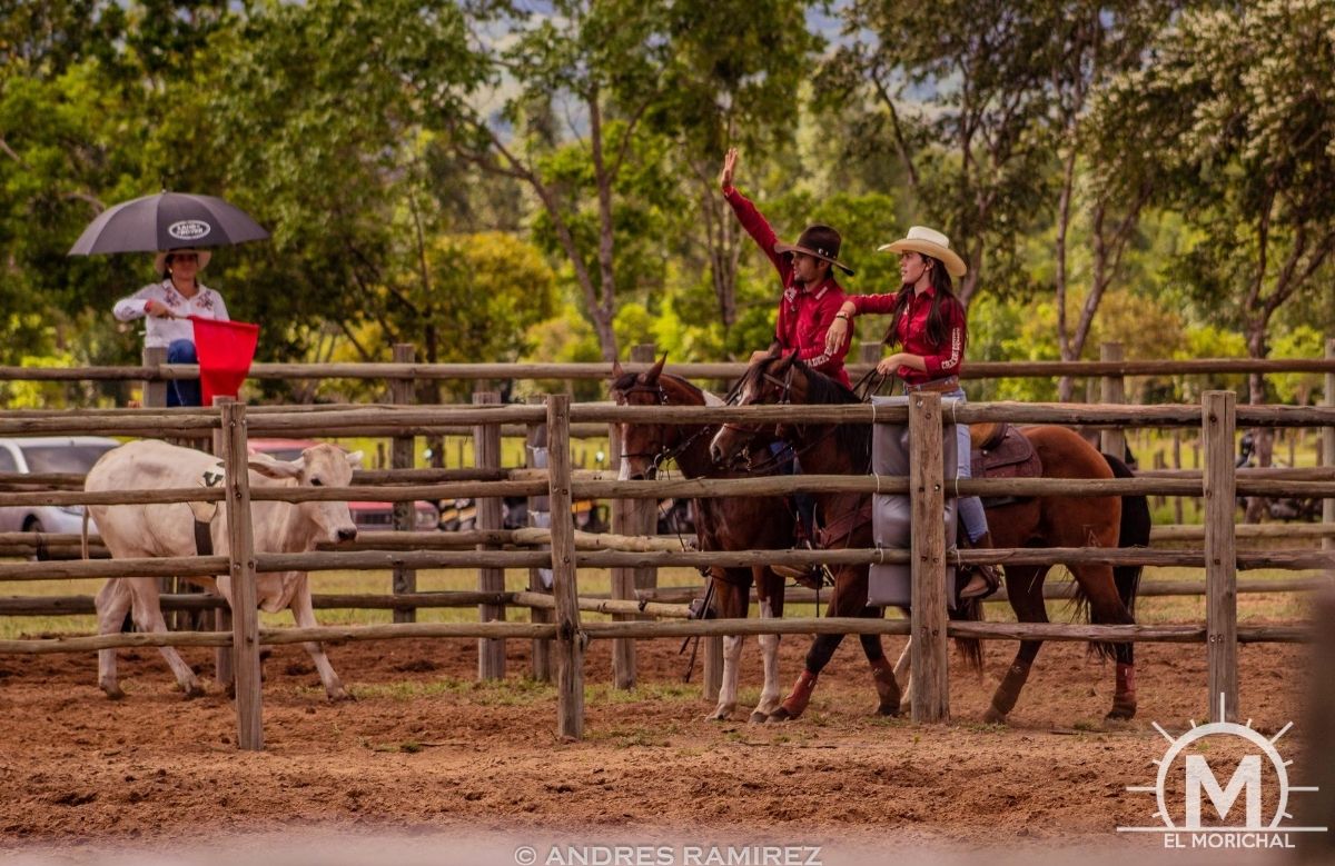 Encierro de gando team penning Monterrey Casanare colombia