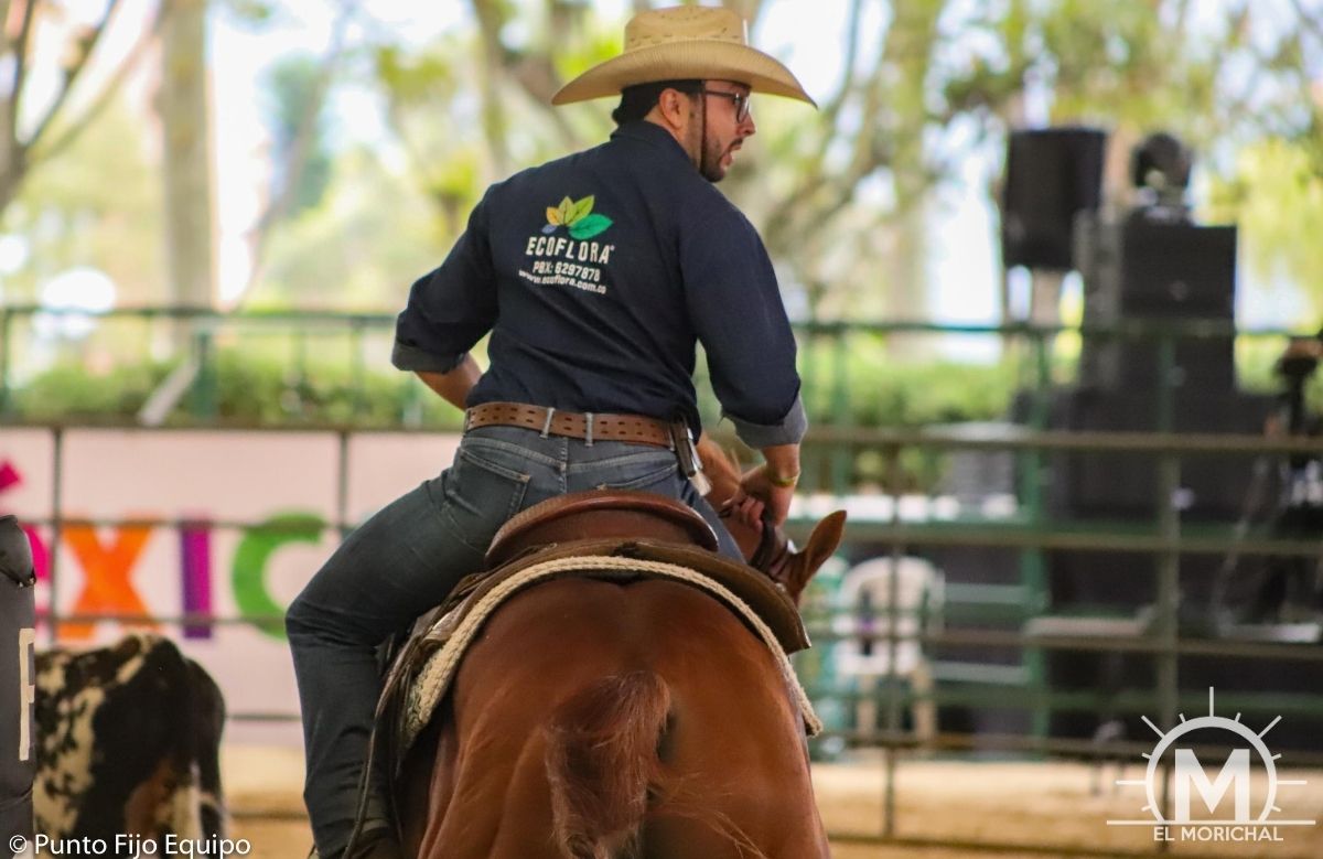 Team penning ARDEQ BACATA 2019 Bogota Colombia