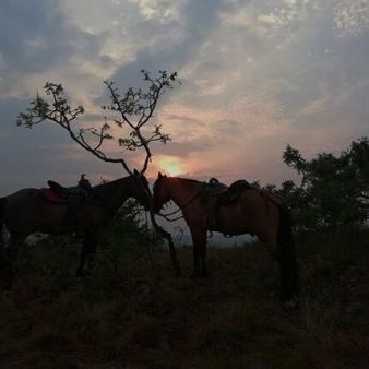 Cabalgata El Mirador Bella Vista Casanare Monterrey