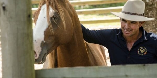 Así doman caballos en Casanare sin maltrato