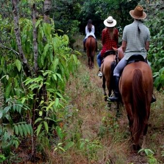 servicio cabalgata en la finca el morichal moterrey casanare